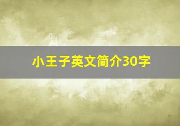 小王子英文简介30字