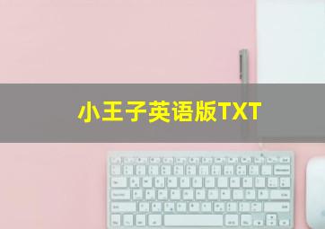 小王子英语版TXT