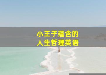 小王子蕴含的人生哲理英语