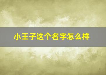 小王子这个名字怎么样