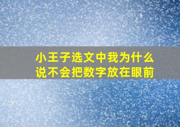 小王子选文中我为什么说不会把数字放在眼前