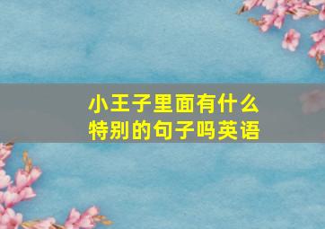 小王子里面有什么特别的句子吗英语