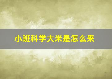 小班科学大米是怎么来