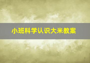 小班科学认识大米教案