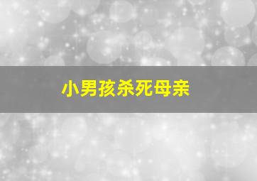 小男孩杀死母亲