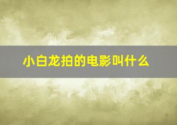 小白龙拍的电影叫什么