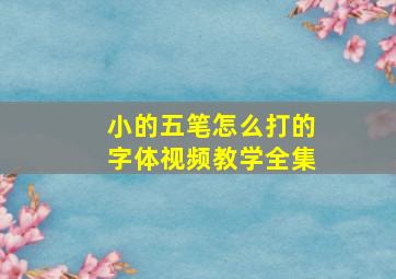 小的五笔怎么打的字体视频教学全集