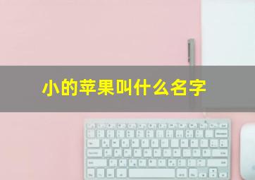 小的苹果叫什么名字