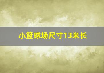 小篮球场尺寸13米长