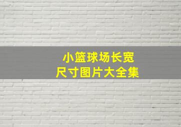 小篮球场长宽尺寸图片大全集