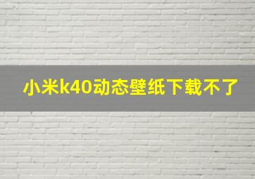 小米k40动态壁纸下载不了