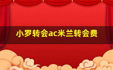 小罗转会ac米兰转会费