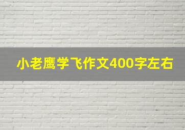 小老鹰学飞作文400字左右