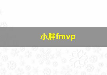 小胖fmvp