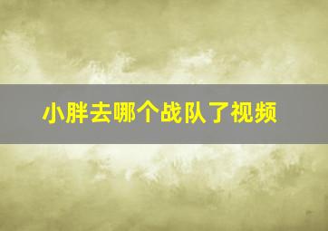 小胖去哪个战队了视频