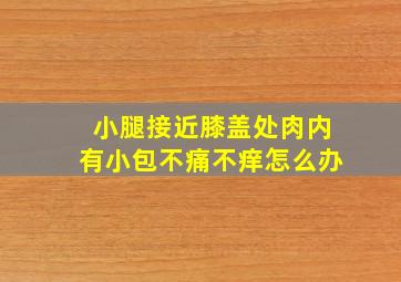 小腿接近膝盖处肉内有小包不痛不痒怎么办