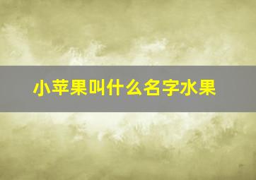 小苹果叫什么名字水果