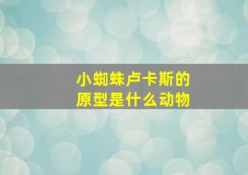 小蜘蛛卢卡斯的原型是什么动物