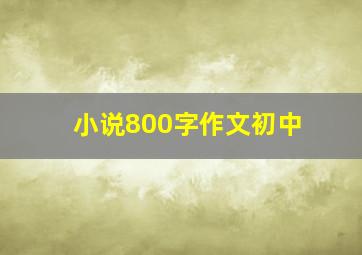 小说800字作文初中