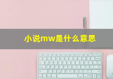 小说mw是什么意思