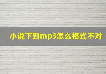 小说下到mp3怎么格式不对