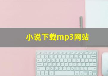 小说下载mp3网站