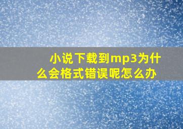 小说下载到mp3为什么会格式错误呢怎么办