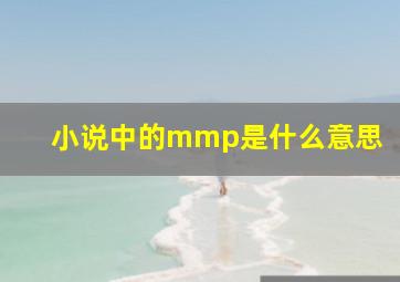 小说中的mmp是什么意思