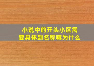 小说中的开头小区需要具体到名称嘛为什么