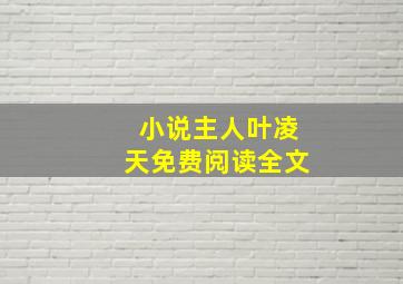 小说主人叶凌天免费阅读全文