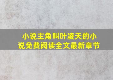 小说主角叫叶凌天的小说免费阅读全文最新章节