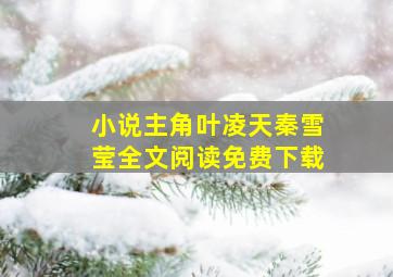 小说主角叶凌天秦雪莹全文阅读免费下载