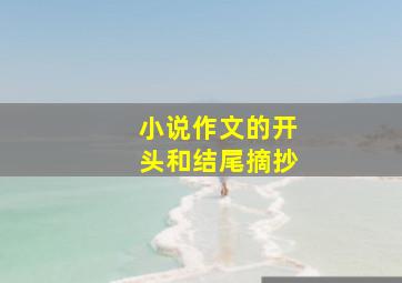 小说作文的开头和结尾摘抄