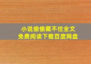 小说偷偷藏不住全文免费阅读下载百度网盘