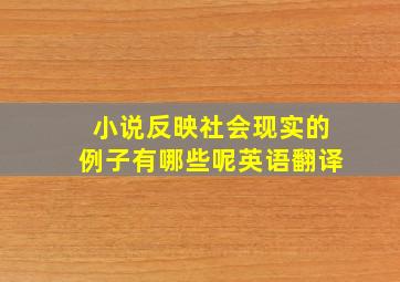 小说反映社会现实的例子有哪些呢英语翻译