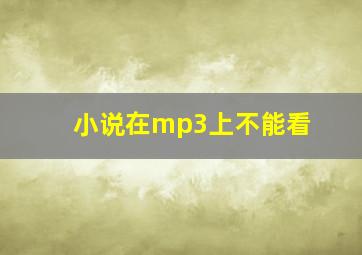 小说在mp3上不能看