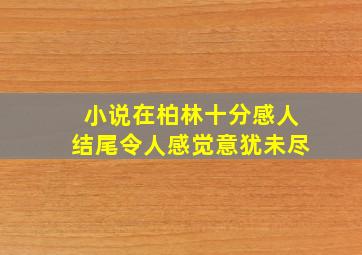 小说在柏林十分感人结尾令人感觉意犹未尽