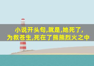 小说开头句,就是,她死了,为救苍生,死在了熊熊烈火之中