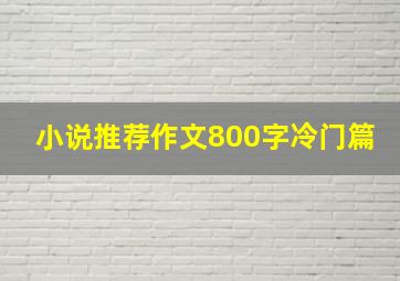 小说推荐作文800字冷门篇