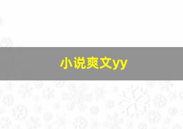 小说爽文yy