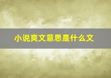 小说爽文意思是什么文