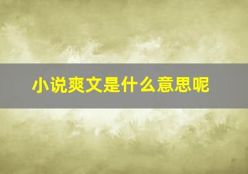 小说爽文是什么意思呢