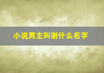 小说男主叫谢什么名字