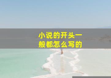 小说的开头一般都怎么写的