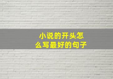 小说的开头怎么写最好的句子