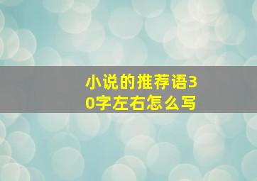 小说的推荐语30字左右怎么写