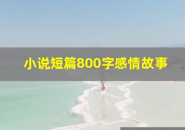 小说短篇800字感情故事