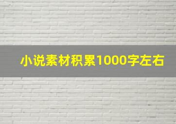 小说素材积累1000字左右