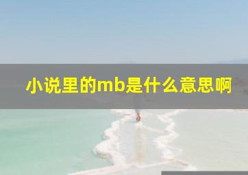 小说里的mb是什么意思啊