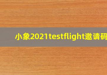 小象2021testflight邀请码